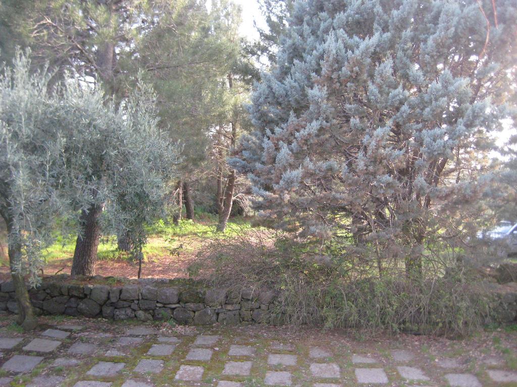 La Casa Del Cavaliere Villa Santa Maria di Licodia Rom bilde