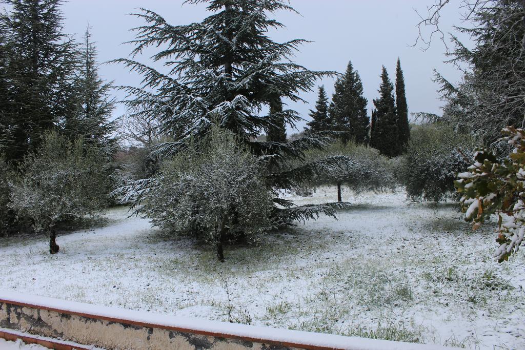 La Casa Del Cavaliere Villa Santa Maria di Licodia Eksteriør bilde